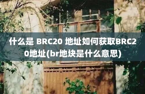 什么是 BRC20 地址如何获取BRC20地址(br地块是什么意思)