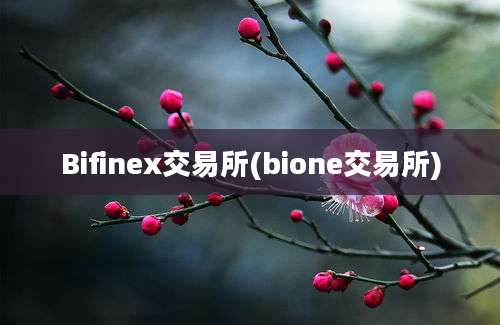 Bifinex交易所(bione交易所)