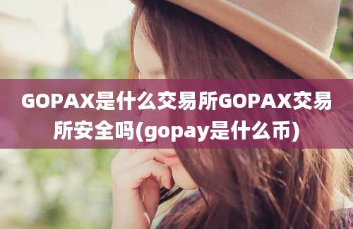 GOPAX是什么交易所GOPAX交易所安全吗(gopay是什么币)