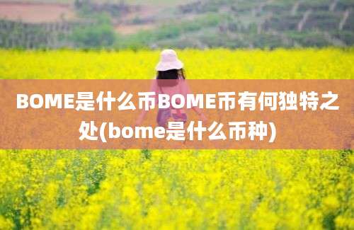 BOME是什么币BOME币有何独特之处(bome是什么币种)