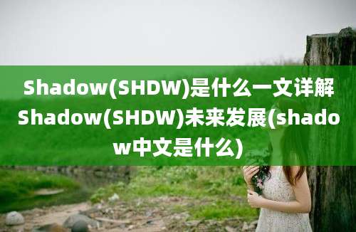 Shadow(SHDW)是什么一文详解Shadow(SHDW)未来发展(shadow中文是什么)