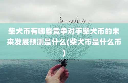 柴犬币有哪些竞争对手柴犬币的未来发展预测是什么(柴犬币是什么币)