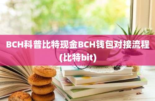 BCH科普比特现金BCH钱包对接流程(比特bit)