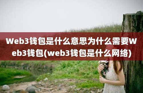 Web3钱包是什么意思为什么需要Web3钱包(web3钱包是什么网络)