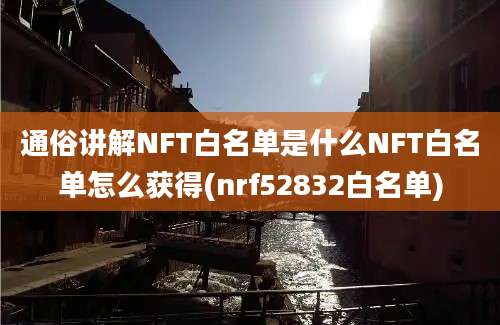 通俗讲解NFT白名单是什么NFT白名单怎么获得(nrf52832白名单)