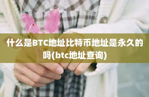 什么是BTC地址比特币地址是永久的吗(btc地址查询)