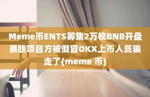 Meme币ENTS筹集2万枚BNB开盘暴跌项目方被假冒OKX上币人员骗走了(meme 币)