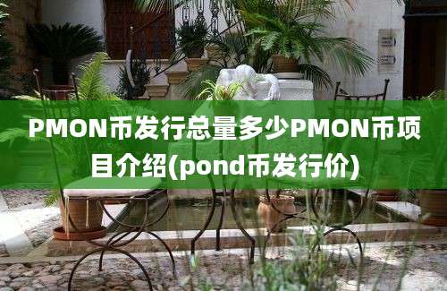 PMON币发行总量多少PMON币项目介绍(pond币发行价)