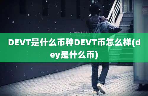 DEVT是什么币种DEVT币怎么样(dey是什么币)