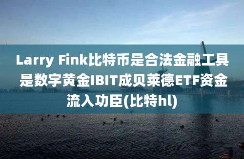 Larry Fink比特币是合法金融工具 是数字黄金IBIT成贝莱德ETF资金流入功臣(比特hl)