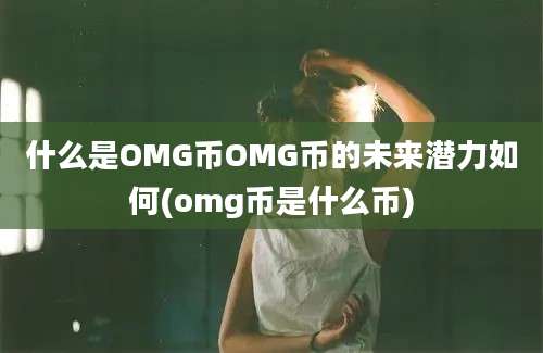 什么是OMG币OMG币的未来潜力如何(omg币是什么币)