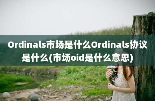 Ordinals市场是什么Ordinals协议是什么(市场oid是什么意思)