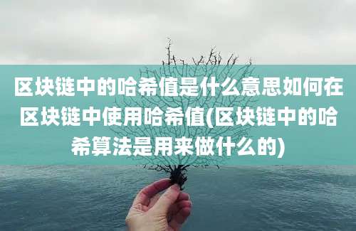 区块链中的哈希值是什么意思如何在区块链中使用哈希值(区块链中的哈希算法是用来做什么的)