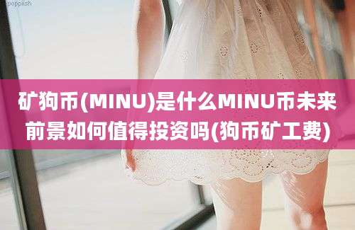 矿狗币(MINU)是什么MINU币未来前景如何值得投资吗(狗币矿工费)