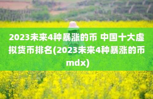 2023未来4种暴涨的币 中国十大虚拟货币排名(2023未来4种暴涨的币 mdx)