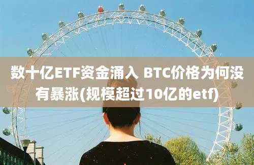 数十亿ETF资金涌入 BTC价格为何没有暴涨(规模超过10亿的etf)