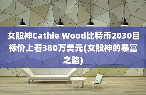 女股神Cathie Wood比特币2030目标价上看380万美元(女股神的暴富之路)