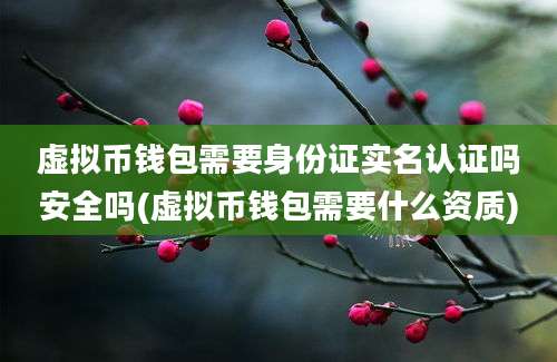 虚拟币钱包需要身份证实名认证吗安全吗(虚拟币钱包需要什么资质)