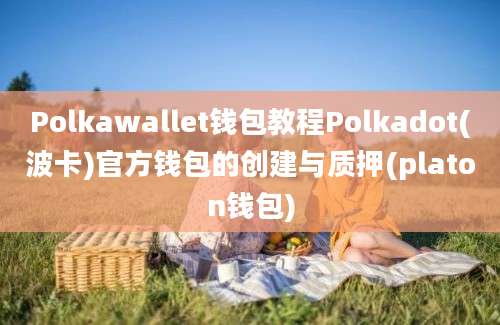 Polkawallet钱包教程Polkadot(波卡)官方钱包的创建与质押(platon钱包)