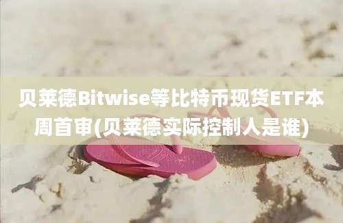 贝莱德Bitwise等比特币现货ETF本周首审(贝莱德实际控制人是谁)