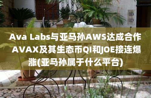 Ava Labs与亚马孙AWS达成合作 AVAX及其生态币QI和JOE接连爆涨(亚马孙属于什么平台)