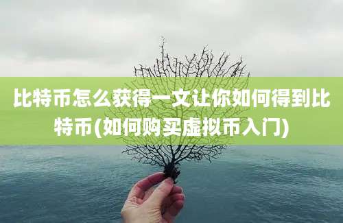 比特币怎么获得一文让你如何得到比特币(如何购买虚拟币入门)