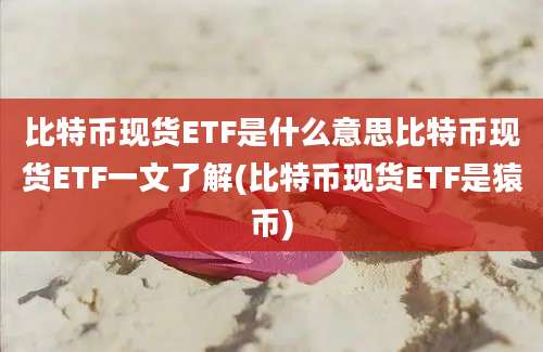 比特币现货ETF是什么意思比特币现货ETF一文了解(比特币现货ETF是猿币)