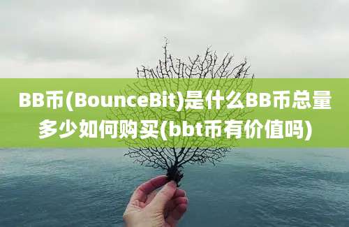 BB币(BounceBit)是什么BB币总量多少如何购买(bbt币有价值吗)