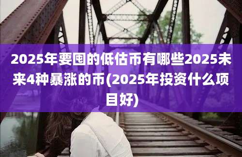 2025年要囤的低估币有哪些2025未来4种暴涨的币(2025年投资什么项目好)