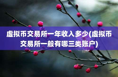 虚拟币交易所一年收入多少(虚拟币交易所一般有哪三类账户)