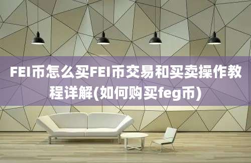 FEI币怎么买FEI币交易和买卖操作教程详解(如何购买feg币)