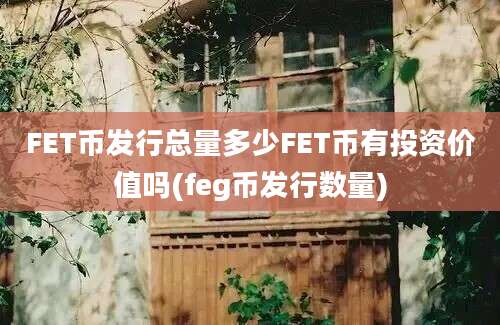 FET币发行总量多少FET币有投资价值吗(feg币发行数量)