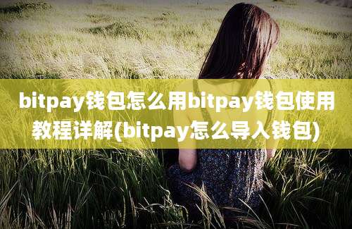 bitpay钱包怎么用bitpay钱包使用教程详解(bitpay怎么导入钱包)