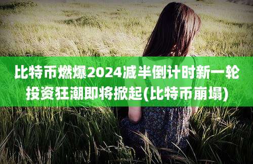 比特币燃爆2024减半倒计时新一轮投资狂潮即将掀起(比特币崩塌)