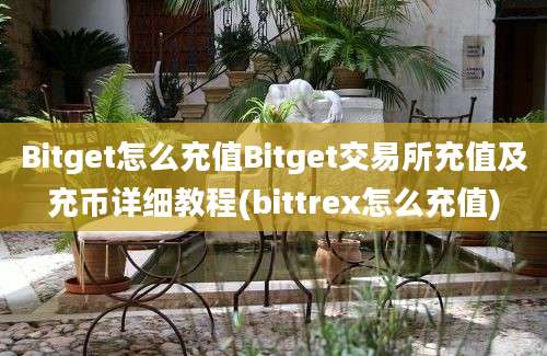 Bitget怎么充值Bitget交易所充值及充币详细教程(bittrex怎么充值)