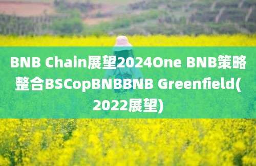 BNB Chain展望2024One BNB策略整合BSCopBNBBNB Greenfield(2022展望)