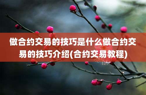 做合约交易的技巧是什么做合约交易的技巧介绍(合约交易教程)