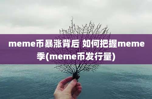 meme币暴涨背后 如何把握meme季(meme币发行量)