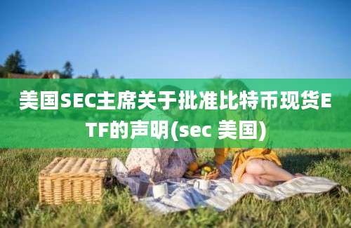 美国SEC主席关于批准比特币现货ETF的声明(sec 美国)