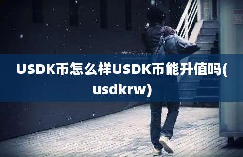 USDK币怎么样USDK币能升值吗(usdkrw)