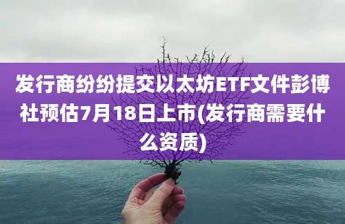 发行商纷纷提交以太坊ETF文件彭博社预估7月18日上市(发行商需要什么资质)