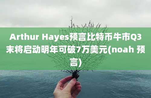 Arthur Hayes预言比特币牛市Q3末将启动明年可破7万美元(noah 预言)