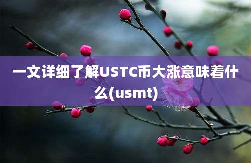 一文详细了解USTC币大涨意味着什么(usmt)