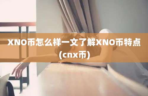 XNO币怎么样一文了解XNO币特点(cnx币)