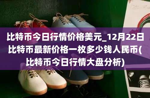 比特币今日行情价格美元_12月22日比特币最新价格一枚多少钱人民币(比特币今日行情大盘分析)