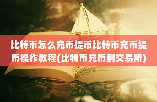 比特币怎么充币提币比特币充币提币操作教程(比特币充币到交易所)