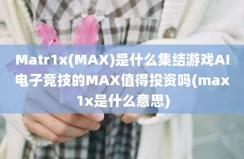 Matr1x(MAX)是什么集结游戏AI电子竞技的MAX值得投资吗(max1x是什么意思)