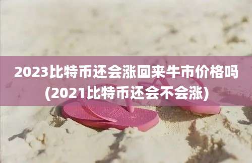 2023比特币还会涨回来牛市价格吗(2021比特币还会不会涨)