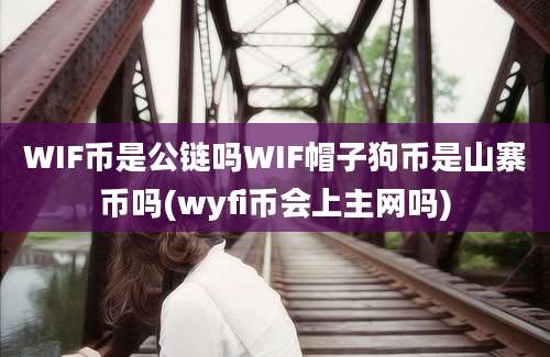 WIF币是公链吗WIF帽子狗币是山寨币吗(wyfi币会上主网吗)