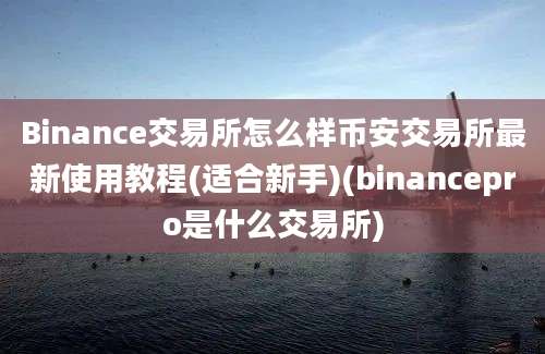 Binance交易所怎么样币安交易所最新使用教程(适合新手)(binancepro是什么交易所)